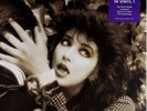 KATE BUSH Remastered In Vinyl I Box Set New & Sealed