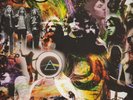 Pink Floyd ?– Venice LP Limited Edition Picture Disc 10