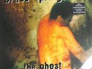 Bruce Springsteen - The Ghost Of Tom Joad (LP, A Vinyl Schallplatte - 163580