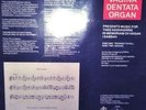 VAGINA DENTATA ORGAN   Vinyl LP   Music For Hashasins (1987)