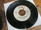 ENDLESS Prevailing Darkness 45 CARDINAL 60s garage VG+ plays well OHIO RARE