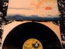 THE ALBION BAND - RISE UP LIKE THE SUN LP N. MINT  UK 1ST HARVEST TEXTURED SLV