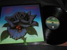 THIN LIZZY black rose ITALY Vertigo 6360 169 EX/EX LP vinyl