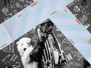 Lil Uzi Vert - ?Luv Is Rage 2 - 2 x LP - TRAP Hip Hop Vinyl Album Record SEALED