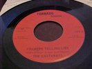 The Castaway's -Tornado  