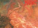 Morbid Angel - Blessed Are the Sick (Full Dynamic Range Vinyl) - LP Vinyl - New