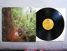 DOUGLAS FIR Hard heartsingin’   USA   QUAD RECORDS LP QUS 5002