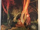 Echo and the Bunnymen - 'Crocodiles' Vinyl (SRK 6096) PROMO COPY