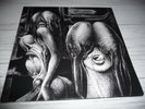LP Shiver   Walpurgis     ( Garden of Delights / REISSUE)