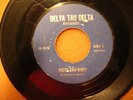 NIGHTHAWKS EDDIE REEVES Delta Tau Baby X-rare 1966 rockabilly garage single VG