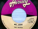 QUAILS doo-wop 45 orig. Harvey MY LOVE b/w NEVER FELT LIKE THIS BEFORE D1614