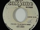 Bob Andy/Wailers 