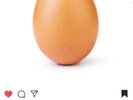 World Record Egg 