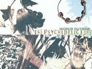 Psychedelic Furs World Outside 2018 reissue 180gm vinyl LP NEW/SEALED