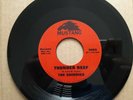 THE SHINDIGS - THUNDER REEF - 7