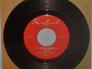 LEMON DROPS 1967 ORIGINAL GARAGE ROCK 45 I LIVE IN THE SPRINGTIME NM NR