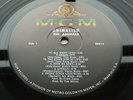 The Animals - Animalization // Orig USA '66 Mono MGM LP Top copy