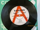 THE REGENTS, RUNAROUND/LAURA MY DARLING, DEMO EX 1961
