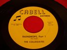 Huntington WV Cabell 111 The Collegiates 45 RPM