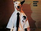 `SPRINGFIELD, RICK`-WORKING CLASS DOG (BLACK & WHITE SWIRLED VINYL) VINYL LP NEW