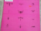 Pink Floyd Syd Barrett Still Laughing Album Vinyl Rare Recordings