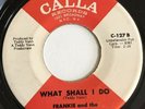 Northern Soul Frankie And The Classicals 45 What Shall I Do