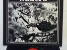 PNW Garage - The Wailers Out of our tree US ETIQUETTE ALBS-026 / MONO Red label