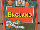 ENGLAND GARDEN SHED OG STEREO UK ARISTA RECORDS LP ARTY 153 A4U/B4U