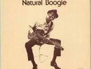 Hound Dog Taylor Natural Boogie - EX vinyl LP album record UK SNTF678 SONET
