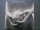 LAMB - Between Darkness And Wonder            RARISSIMO