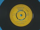 Rare TONY T.S. McPHEE single 'Someone To Love Me' Purdah 45-3501 Blue Horizon