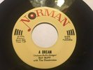 Ray Ruff with The Checkmates 45 rpm Norman N-539 -Dallas Garage Rockabilly  