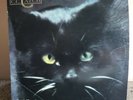 SIGNED 1986 C C CATCH VINYL LP CATCH THE CATCH MADE IN HUNGARY SLPXL 37059 - V1