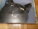 Budgie Impeckable vinyl LP album record UK AMLH64675 A&M 1978 ex cond