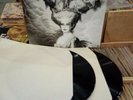 Lp Mina Canarino Mannaro n 0737