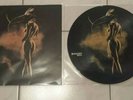 Depeche Mode walking in my shoes-to Berlin   Picture Vinyl