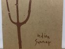 rare INDIAN SUMMER original 7” CALM CAPN JAZZ emo HEROIN HOT WATER MUSIC GRAVITY