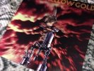 Beck Mellow Gold