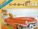 BEACH BOYS - Medley/Long Version 12
