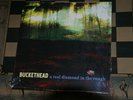 Buckethead A Real Diamond in the Rough Vinyl LP Near Mint RARE