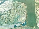 Plastic Ono Band [VINYL] Yoko Ono Vinyl