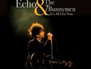 Echo & the Bunnymen - It's All Live Now Limited Edition 180g LP Run Out Groove