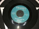THE MONTELLS 66 MIAMI GARAGE PUNK YOU CAN'T MAKE ME/DADDY ROLLING STONE-RARE *