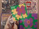 Flowered Up 5 x 12