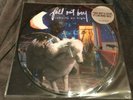 Fall Out Boy - Infinity on High RARE PICTURE DISC VINYL RECORD LP 2007