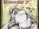 Dinosaur Jr. - You're Living All Over Me