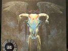 Eagles One Of These Nights White Label Promo w/ Sticker Near Mint