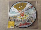 GREEN DAY - DOOKIE (PICTURE DISC) - VINYL LP - NEW