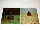(2) SEALED LP's - John Buck Wilkin - Self-Titled; In Search of Food,Clothing,Sex