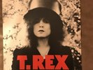 T.Rex - The Slider - Vinyl LP - BLN 5001